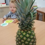 ananasový den (3)